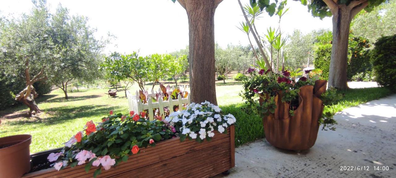 דירות קנאלי Eirini House מראה חיצוני תמונה
